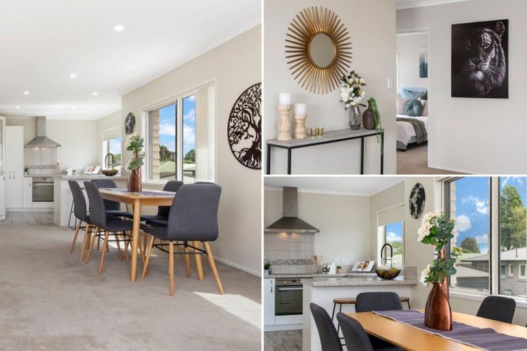 Photo of property in 54 Harrier Street, Parkvale, Tauranga, 3112