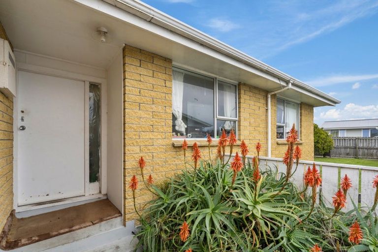 Photo of property in 42 Hinemoa Street, Levin, 5510