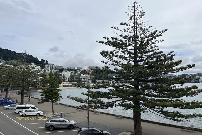 Photo of property in Inverleith Apartments, 3/306 Oriental Parade, Oriental Bay, Wellington, 6011