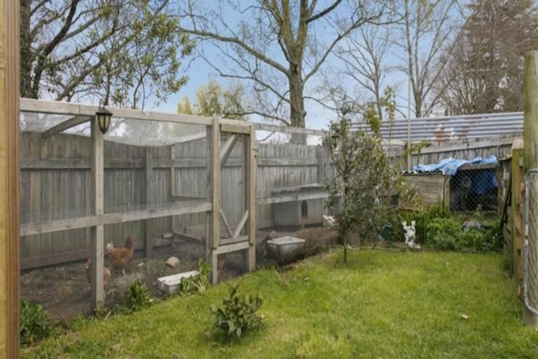 Photo of property in 1 Rangiora Crescent, Wairakei, Taupo, 3332