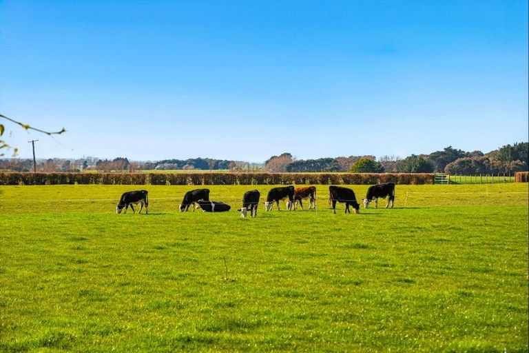 Photo of property in 208 Kukutauaki Road, Koputaroa, Levin, 5575