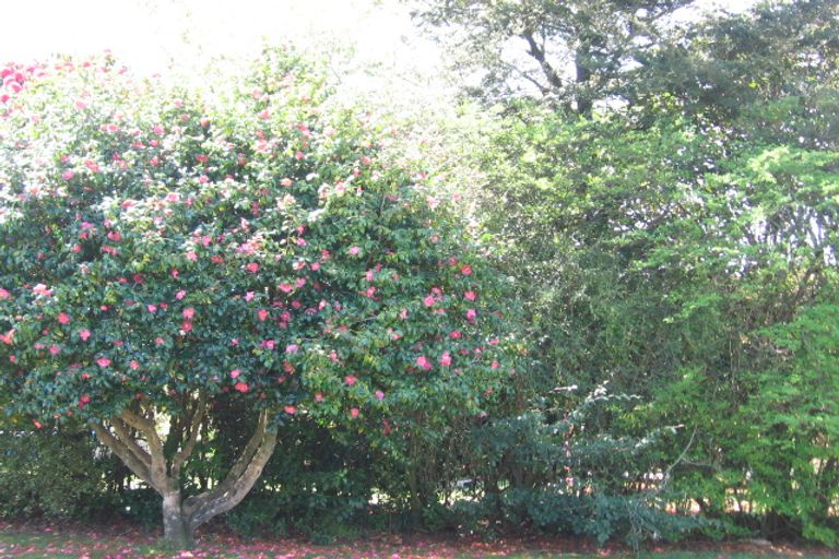 Photo of property in 21 Roosevelt Road, Western Heights, Rotorua, 3015