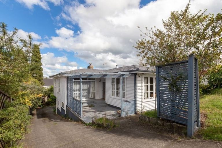 Photo of property in 101 Lake Crescent, Hamilton Lake, Hamilton, 3204