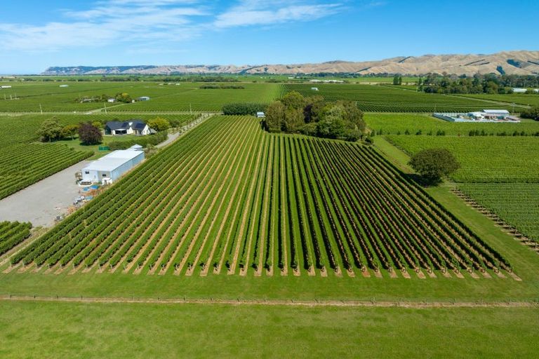 Photo of property in 21 Jones Road, Grovetown, Blenheim, 7273