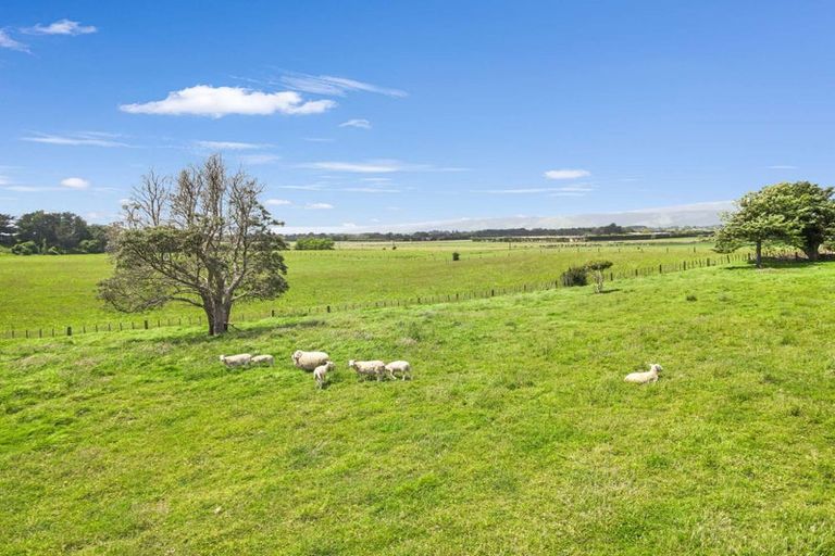 Photo of property in 20 Whio Grove, Hokio Beach, 5571