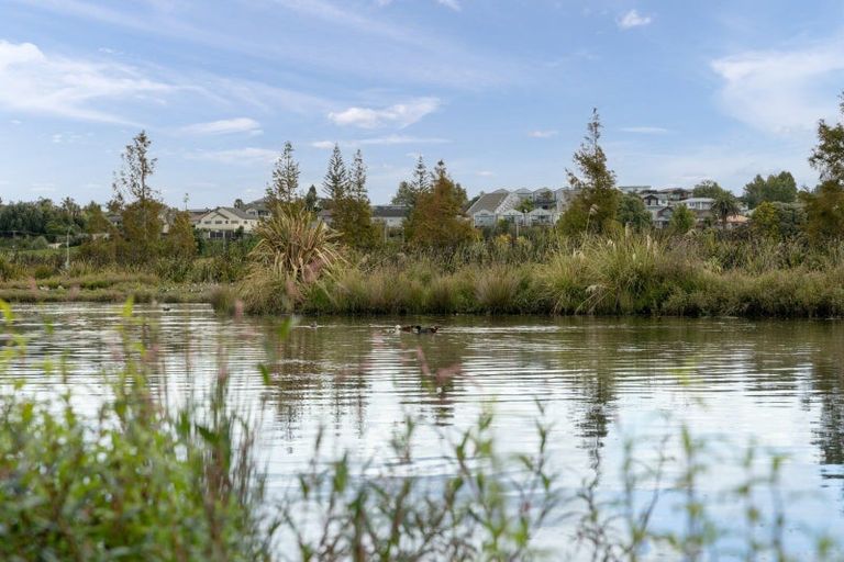 Photo of property in 21 Jacob Street, Brookfield, Tauranga, 3110