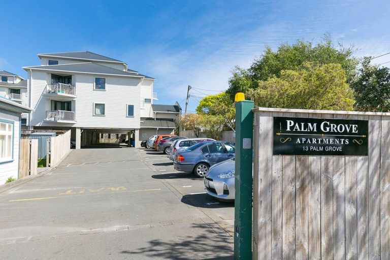 Photo of property in Palm Grove Apartments, 15/13b Palm Grove, Berhampore, Wellington, 6023