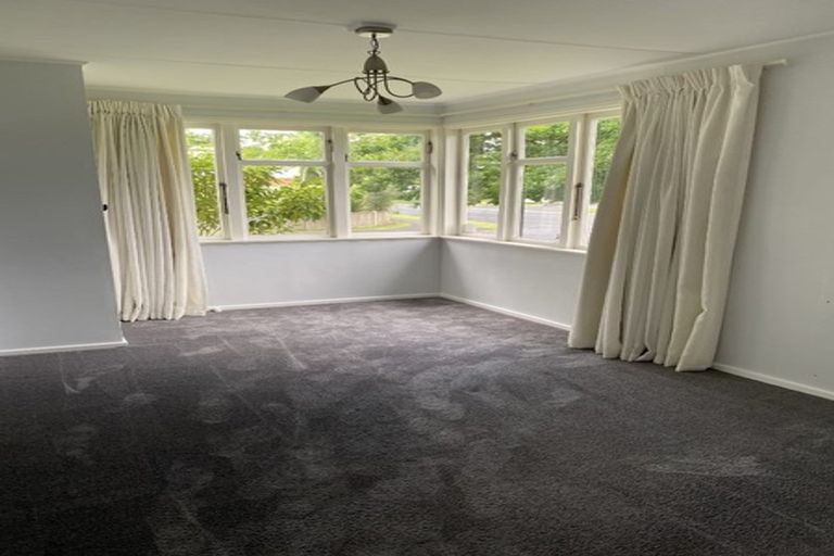 Photo of property in 117 Fairfield Road, Fairfield, Hamilton, 3214