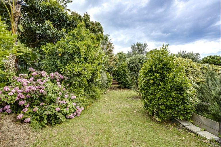 Photo of property in 6 Hall Street, Napier South, Napier, 4110