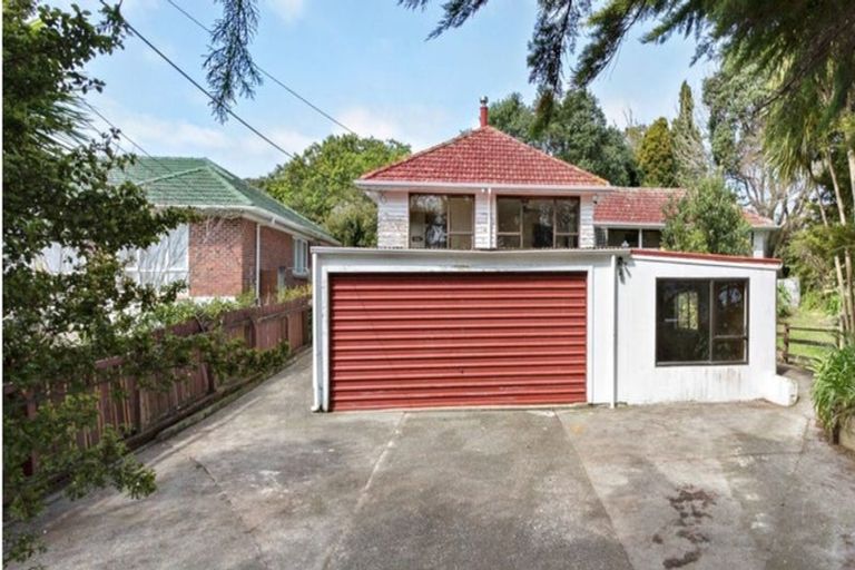 Photo of property in 19 Humphrey Kemp Avenue, Henderson, Auckland, 0612