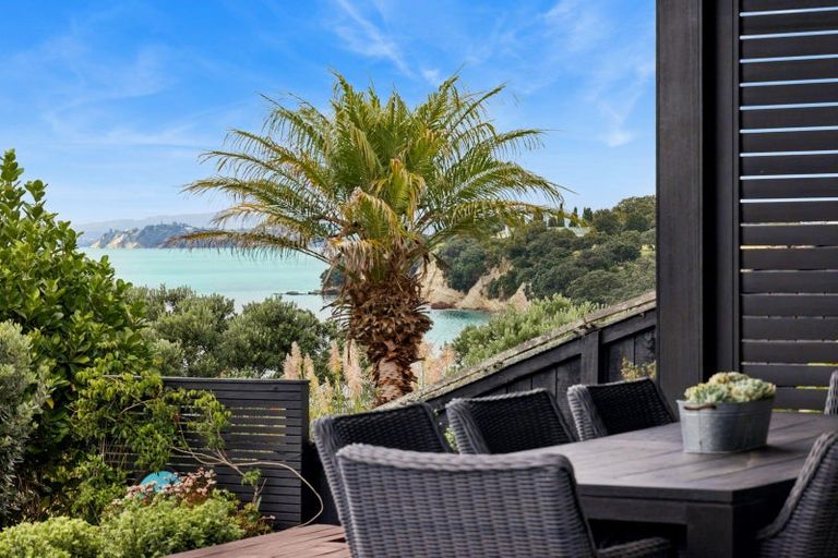Photo of property in 20 Hamana Street, Narrow Neck, Auckland, 0622
