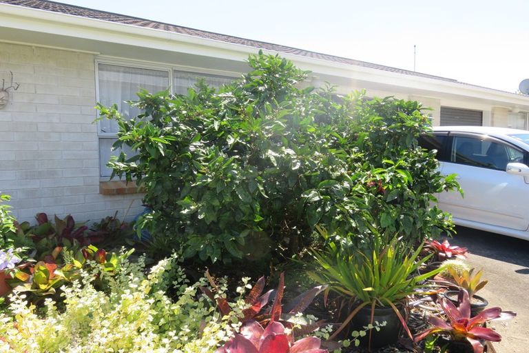 Photo of property in 103a Clarence Street, Thames, 3500