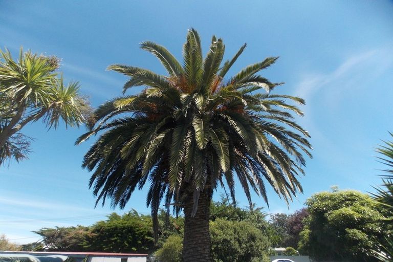 Photo of property in 13 Beach Street, Tangimoana, 4822