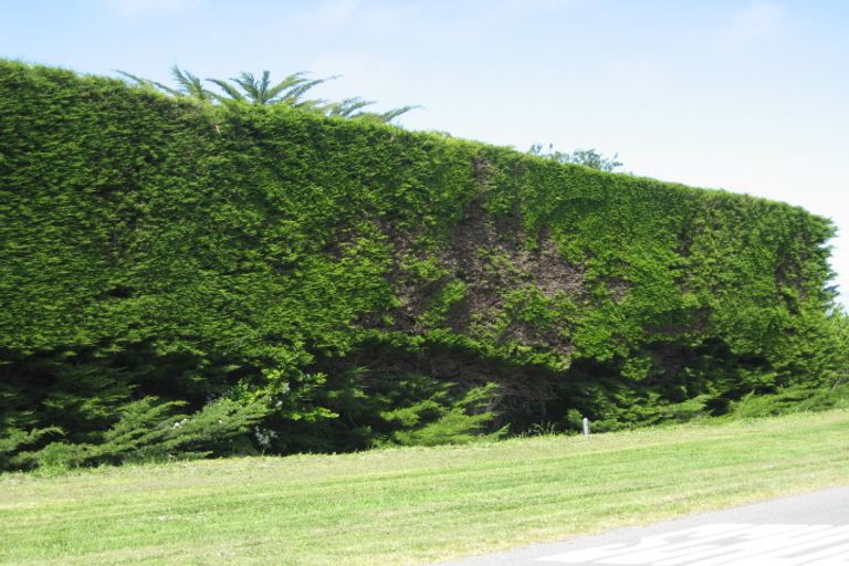 Photo of property in 46 Old Main North Road, Leithfield, 7481