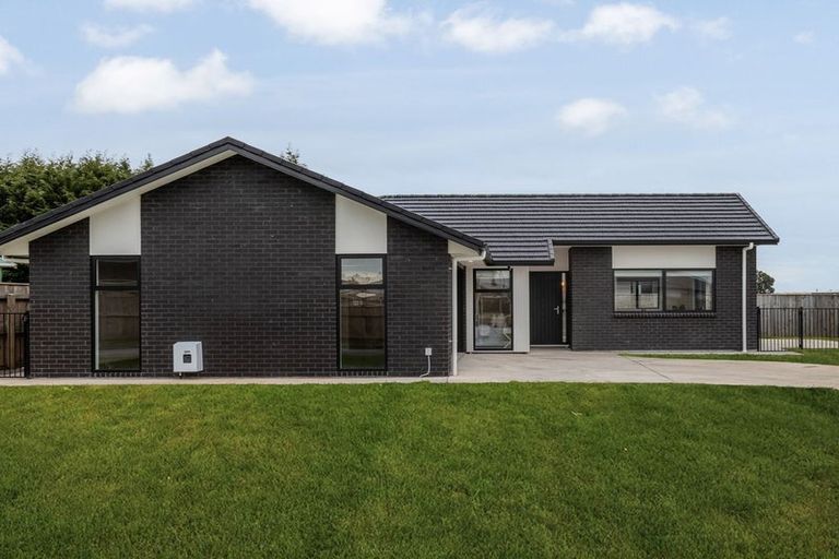 Photo of property in 79 Hinemoa Street, Levin, 5510