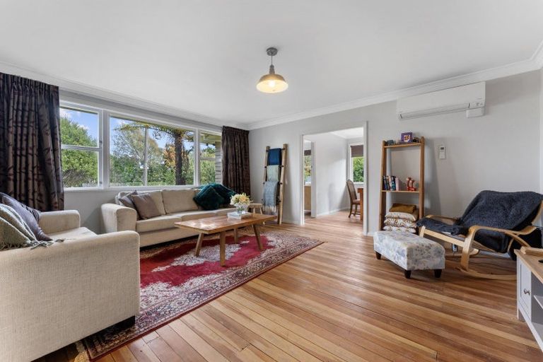 Photo of property in 17 Hobson Street, Levin, 5510