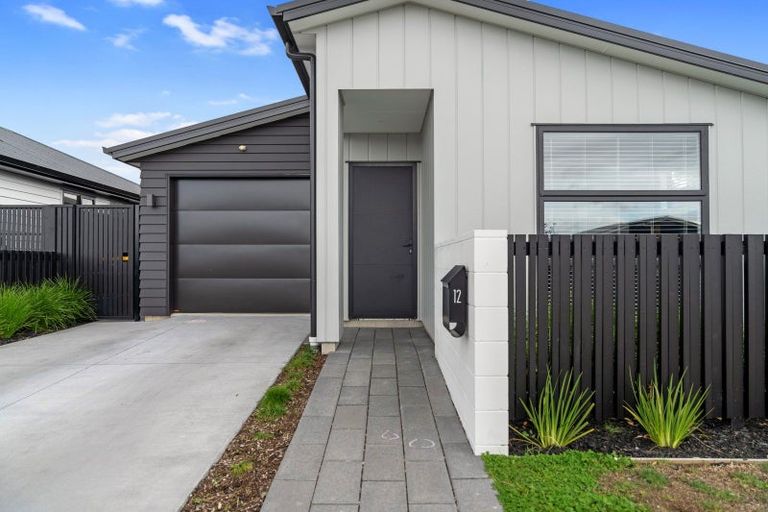 Photo of property in 12 Huriana Crescent, Te Puke, 3119