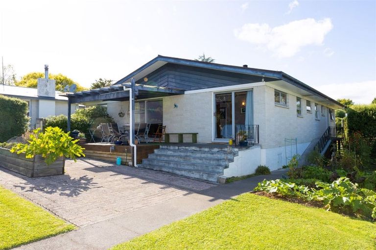 Photo of property in 31 Tanner Street, Havelock North, 4130