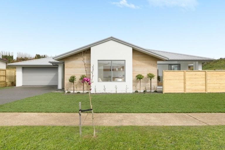 Photo of property in 128 Whakaturou Crescent, Pyes Pa, Tauranga, 3112