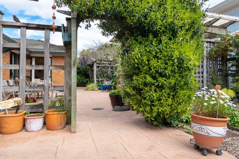 Photo of property in 8 Semillon Avenue, Henderson, Auckland, 0612