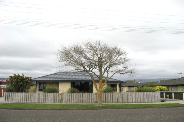 Photo of property in 128 Winchester Street, Levin, 5510