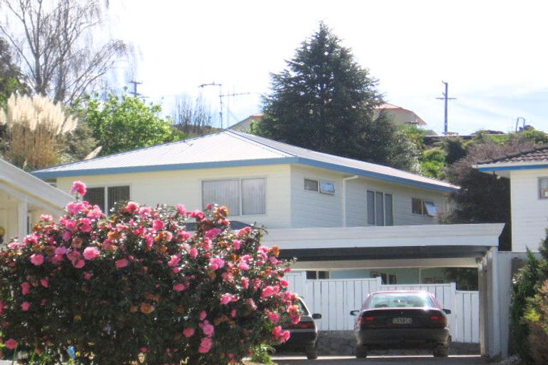 Photo of property in 16b Balmoral Terrace, Otumoetai, Tauranga, 3110