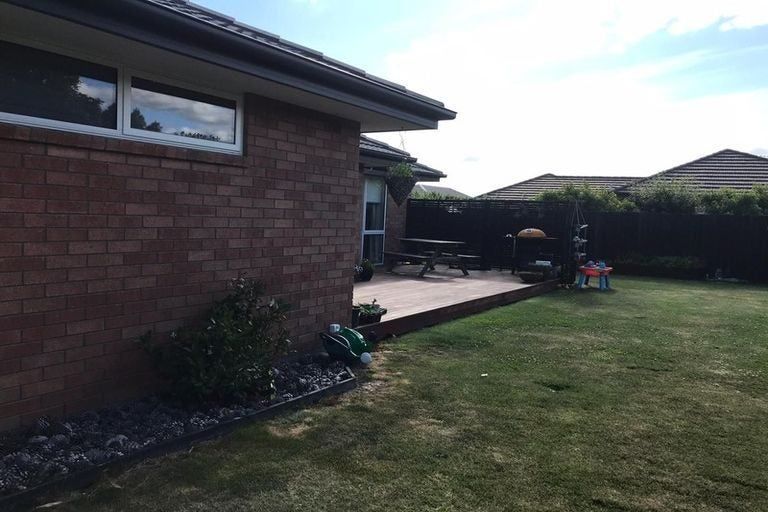 Photo of property in 17 Larne Place, Belfast, Christchurch, 8051