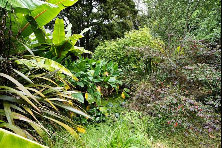 Photo of property in 45 Suester Road, Poroti, Whangarei, 0179