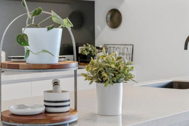 Photo of property in 320 Pokuru Road, Pokuru, Te Awamutu, 3875