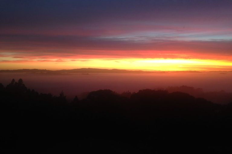 Photo of property in 171 Pinchgut Road, Kaukapakapa, 0873