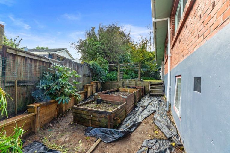 Photo of property in 44 Collingwood Street, Judea, Tauranga, 3110