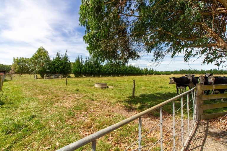 Photo of property in 281 Hoihere Road, Tiakitahuna, Palmerston North, 4477
