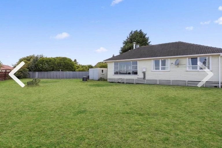 Photo of property in 24 Mahoe Street, Levin, 5510