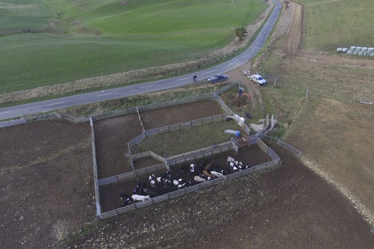 Photo of property in 233 Elephant Hill Road, Waihao Downs, Waimate, 7977