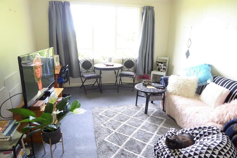 Photo of property in 221 Tomahawk Road, Andersons Bay, Dunedin, 9013