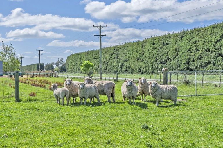 Photo of property in 253 Burts Road, Southbridge, Leeston, 7682