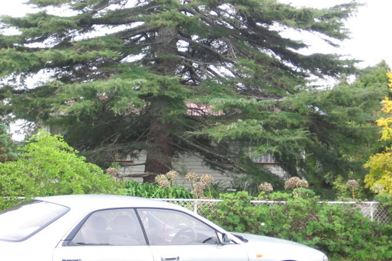 Photo of property in 75 Te Kanawa Crescent, Henderson, Auckland, 0610