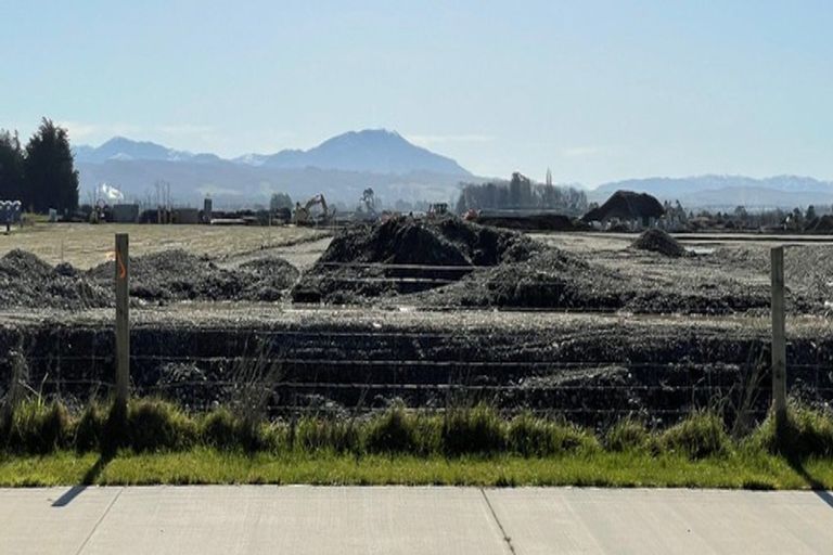 Photo of property in 20 Borland Street, Woodend, 7610