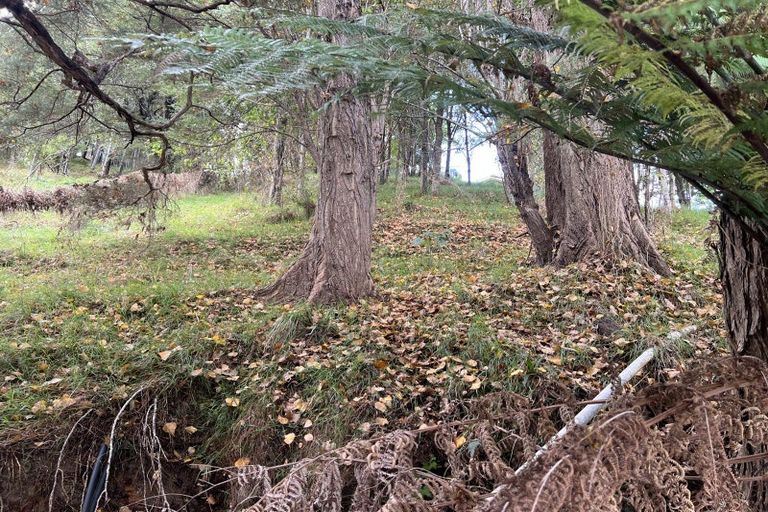 Photo of property in 16 Manuka Drive, Whangamata, 3691