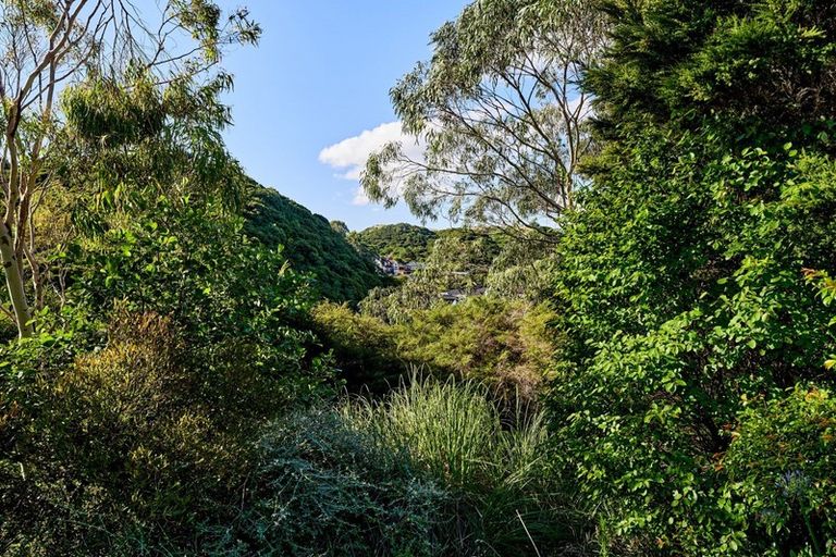 Photo of property in 3 Picketboat Lane, Whitby, Porirua, 5024