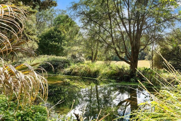 Photo of property in 616 Norfolk Road, Upper Plain, Carterton, 5791