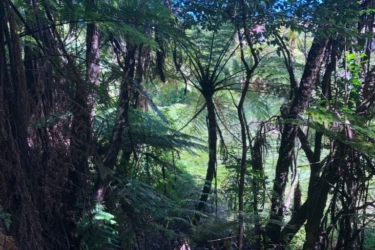 Photo of property in 1b Motuhora Rise, Whakatane, 3120