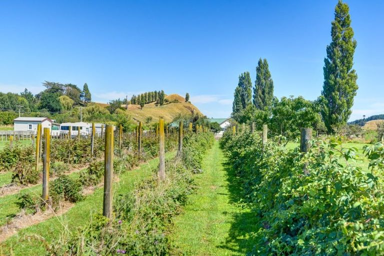Photo of property in 176 Okoia Road, Okoia, Whanganui, 4582