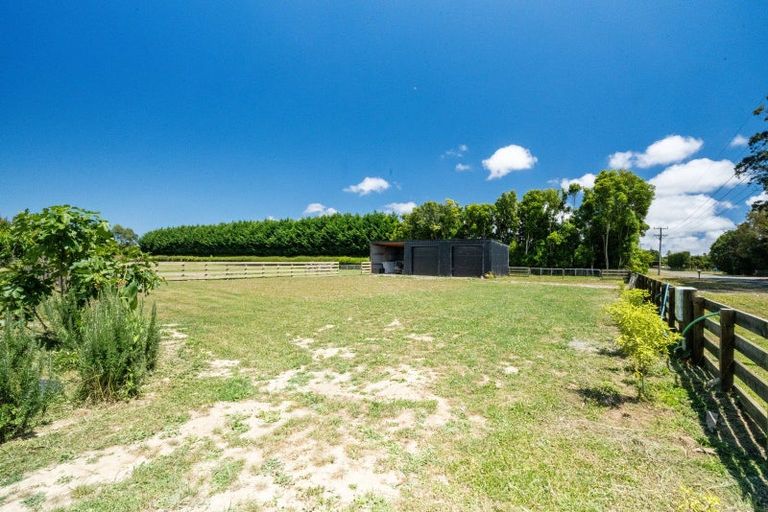 Photo of property in 324 Kimberley Road, Levin, 5571