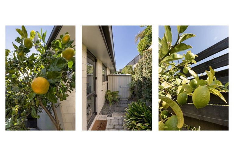 Photo of property in 11 Vista Close, Omokoroa, 3114