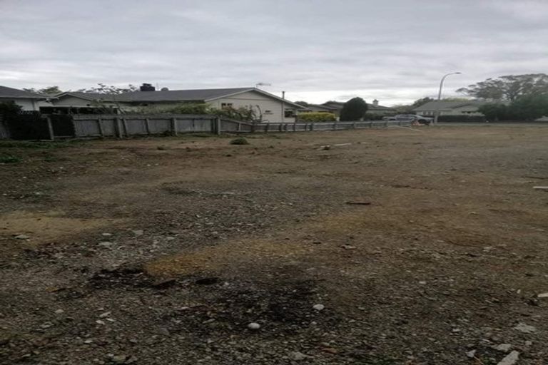 Photo of property in 32 Shamrock Street, Takaro, Palmerston North, 4412