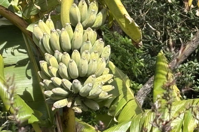 Photo of property in 965 Te Waitere Road, Taharoa, Te Kuiti, 3988