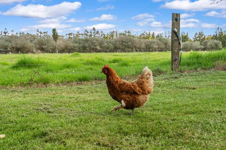 Photo of property in 748 One Tree Point Road, Ruakaka, Whangarei, 0171