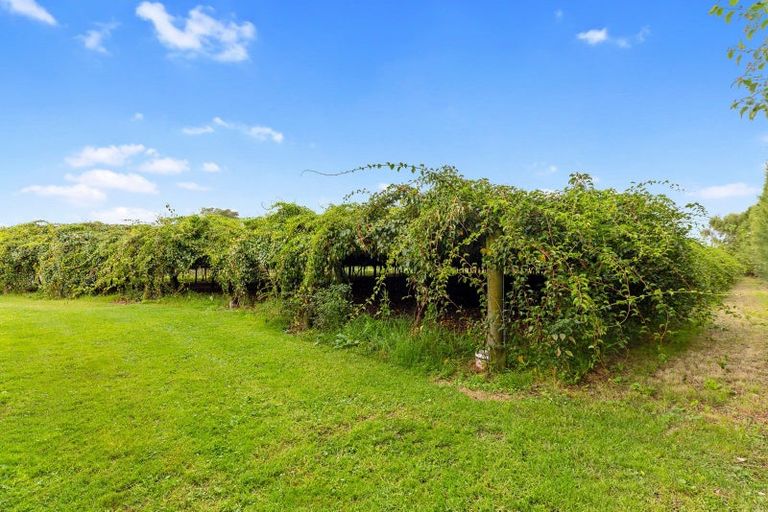 Photo of property in 726 Old Coach Road, Pongakawa, Te Puke, 3186