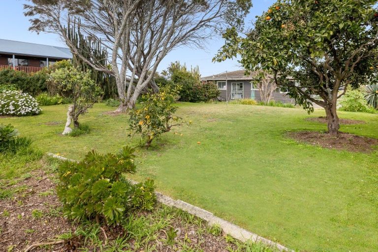 Photo of property in 13 Links Avenue, Mount Maunganui, 3116